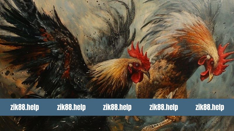 Đá Gà C3 - Sân Chơi Chọi Chiến Kê Siêu Kịch Tính Tại Zik88 8 Đá Gà C3 - Sân Chơi Chọi Chiến Kê Siêu Kịch Tính Tại Zik88