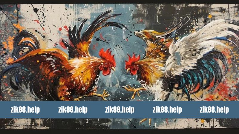 Sức hấp dẫn đỉnh cao của đá gà C3